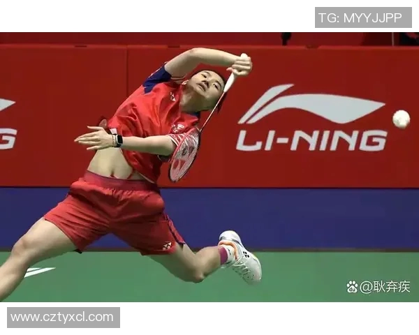 羽毛球赛事精彩回放及技术点评 羽毛球赛事精彩回放及技术点评