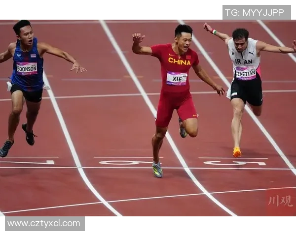 中国队包揽世界射击锦标赛男女项目金牌 创历史辉煌成就 中国队包揽世界射击锦标赛男女项目金牌 创历史辉煌成就