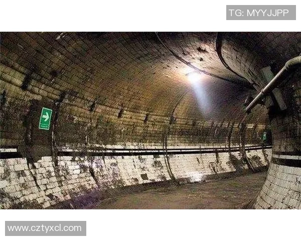 探索未知的世界：揭开十大令人惊讶的冷知识谜团